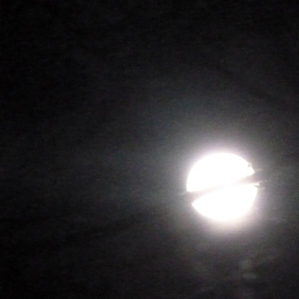 28-11-12-1_edited-1-1356339138.jpg
