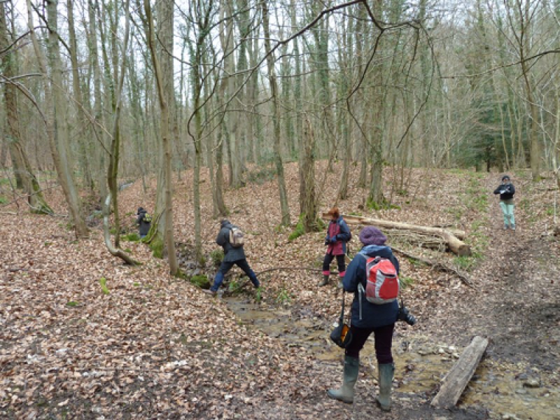 ffw-march-2-1363950191.jpg