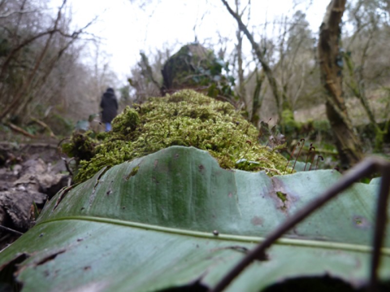 ffw-march-3-1363950191.jpg