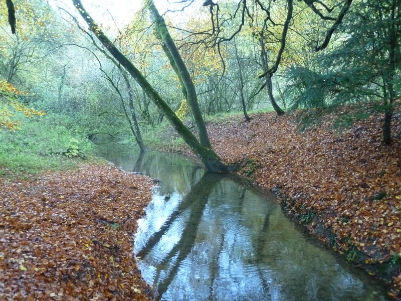 ffw-nov2-1354825751.jpg