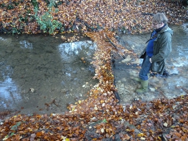 ffw-nov3-1354825779.jpg