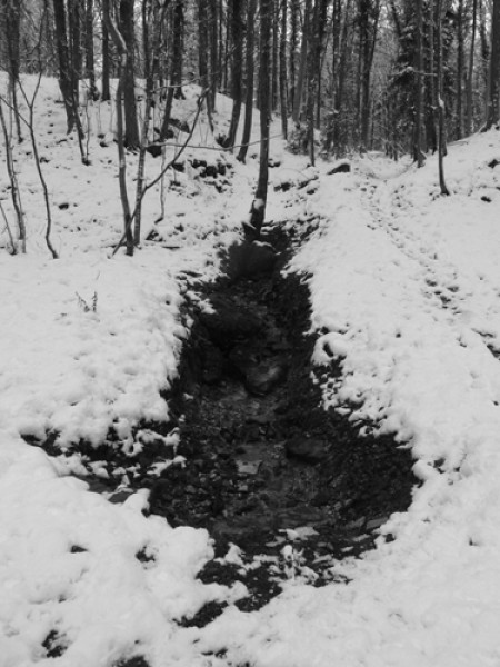 snow-1-1362042592.jpg