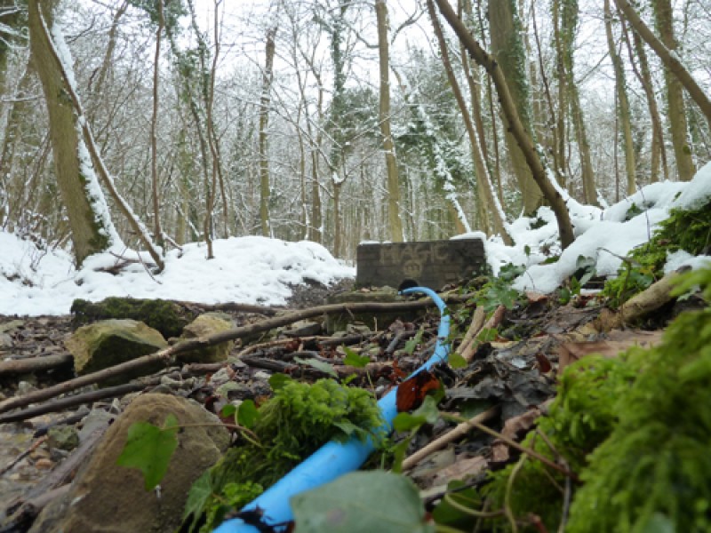 snow-2-1362042591.jpg